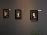 Hand studies on display at the gallery